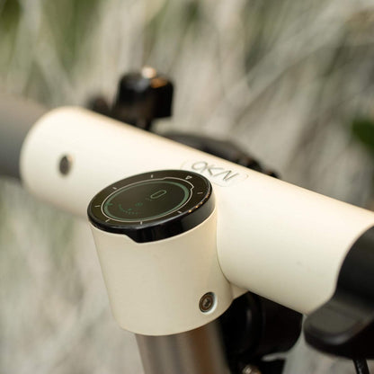 NEON Lite ES10 - OKAI